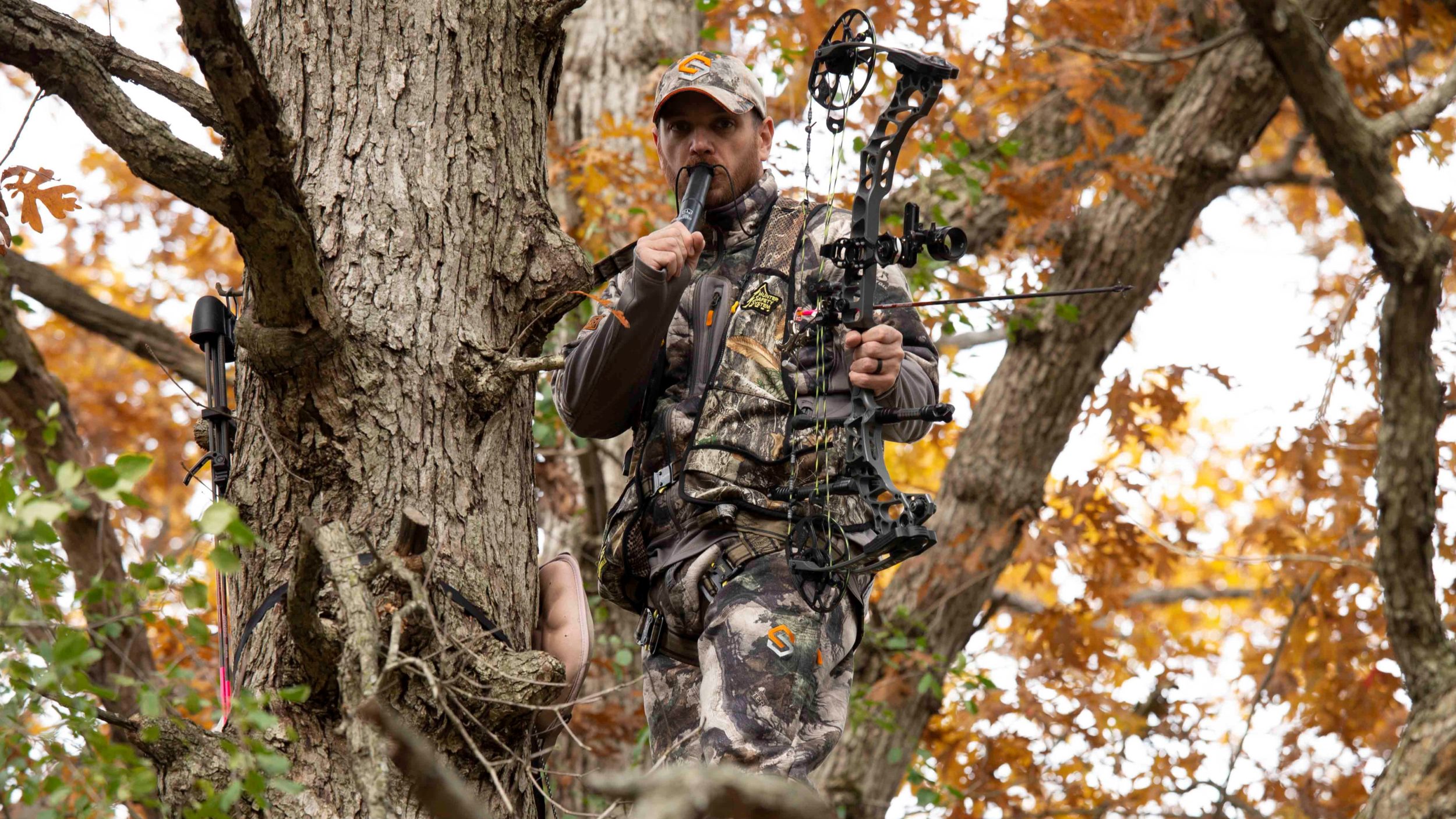 Killer Calls for Early Season Whitetail | Bowhunting.com