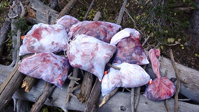 A lot of hunters neglect to prepare for success. Be sure to have quality game bags when success comes your way. 