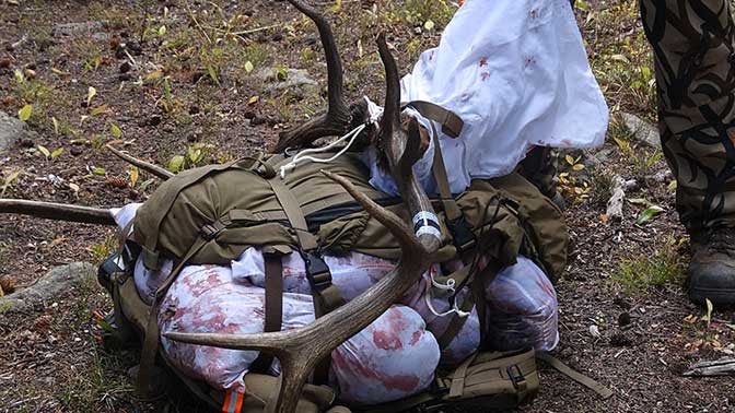 Hauling elk meat and gear out of the backcountry is nothing short of brutal labor. A quality backpack can make things a little easier with this chore. 
