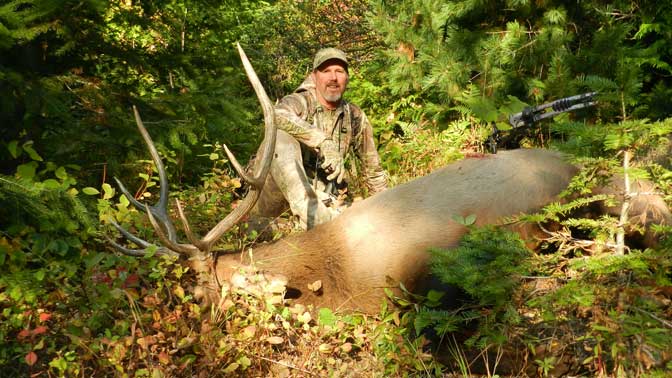 You'll have to turn your game up a notch, but killing a bull with your bow during gun season can be done. 