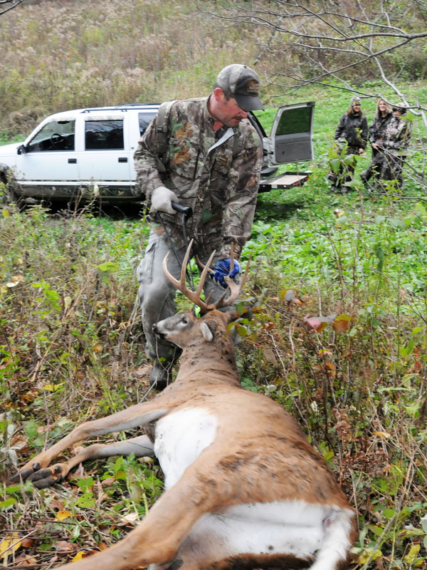 The number of bucks carrying chronic wasting disease is rising sharply in southwestern Wisconsin.