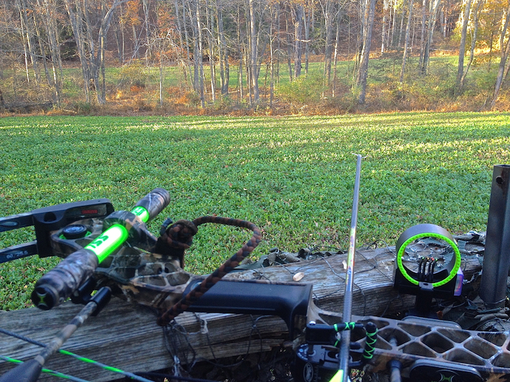 Set the stage for success with a calling routine in an afternoon food plot. 