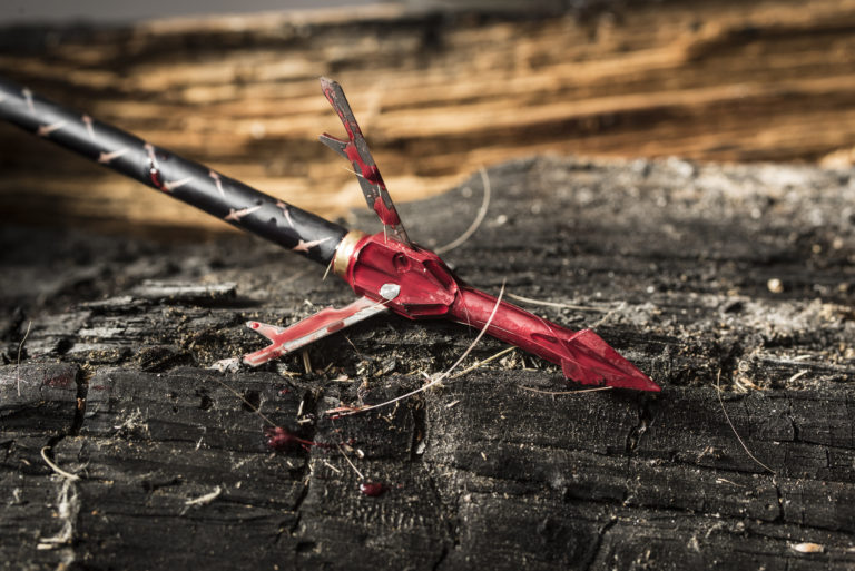 New Expandable Broadhead from Wac'Em