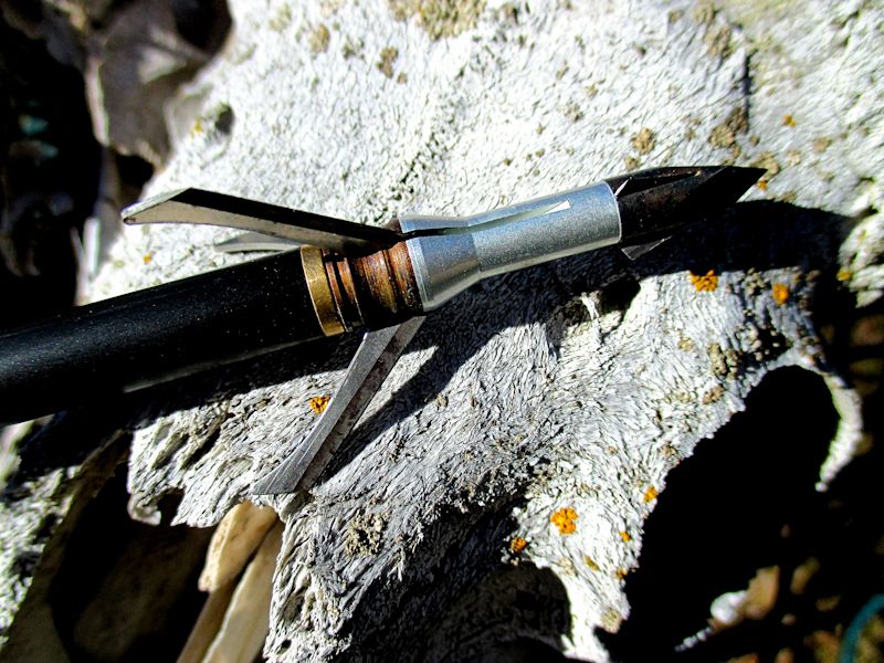 My choice for a broadhead is an expandable that open to 1 1/2 to 2".