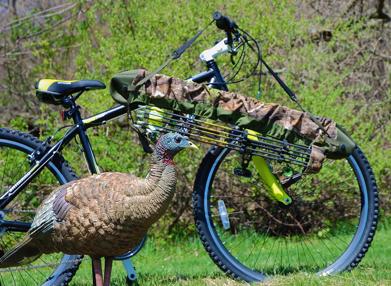 Bike and Bird