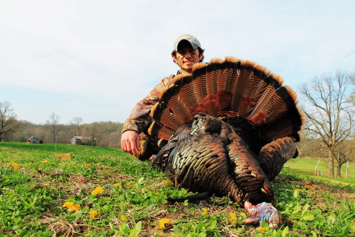 The author with a big Kentucky gobbler he duped with a decoy.