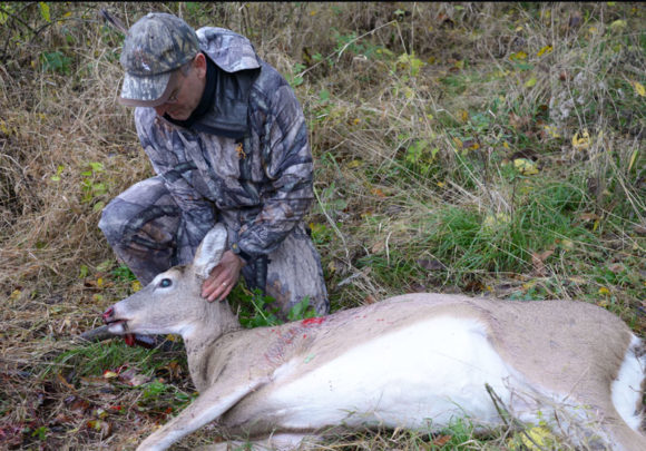 Since discovering CWD in southern counties in 2002, the Wisconsin DNR has found the always-fatal disease in 3,100 wild deer.