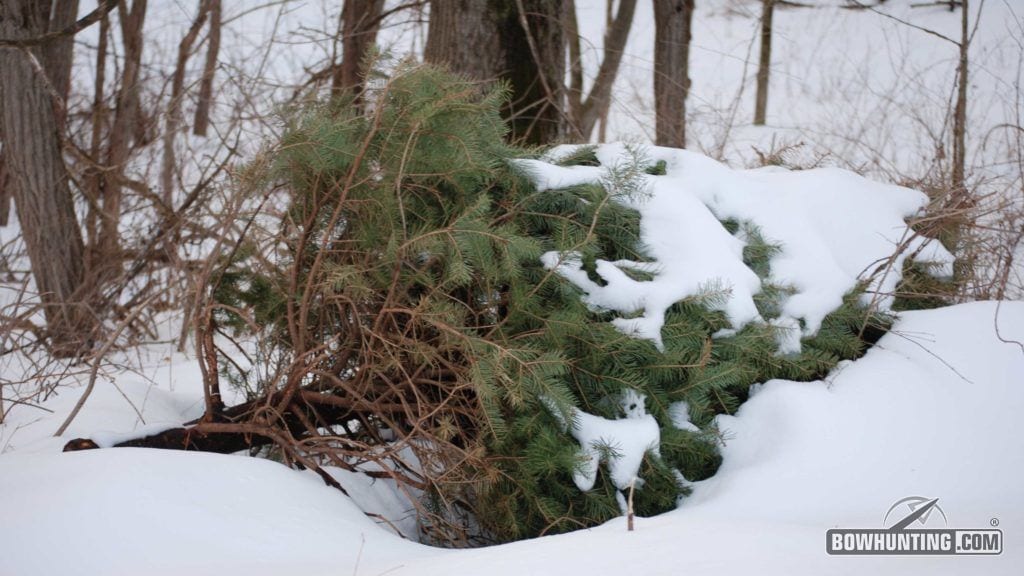 Create your own rabbit cover with an old Christmas tree or brush pile. 
