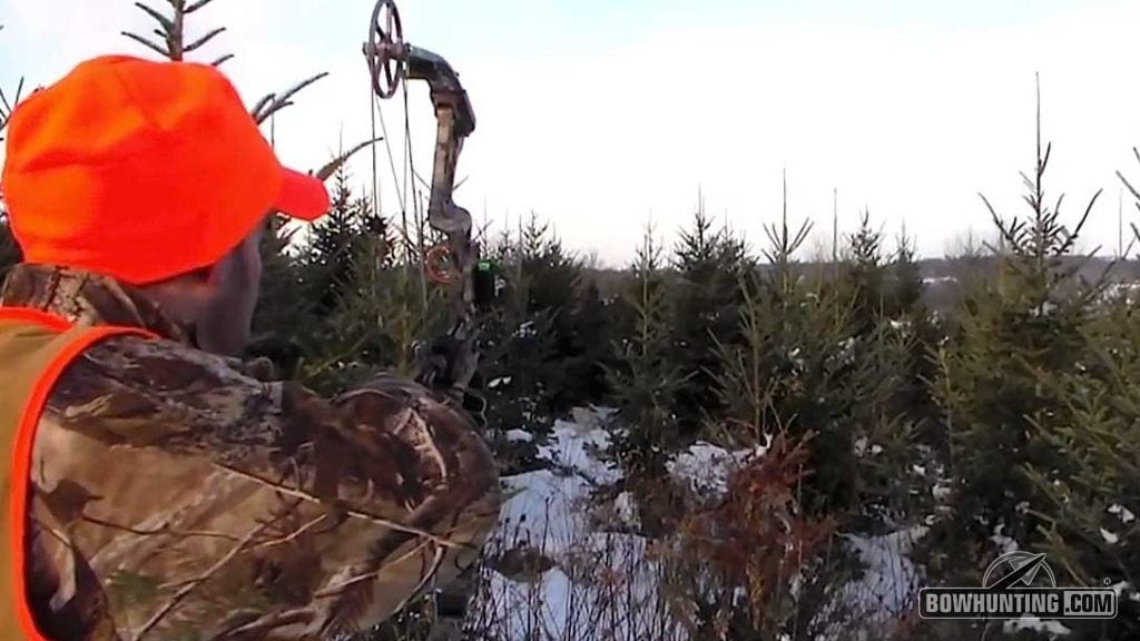 A fresh snow and plenty of thick cover is the perfect combination for bowhunting rabbits. 