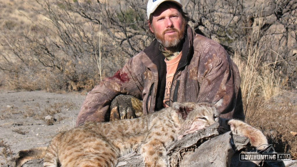 The author with a beautiful cat. Bobcats provide one of the toughest challenges a bowhunter will ever face. 