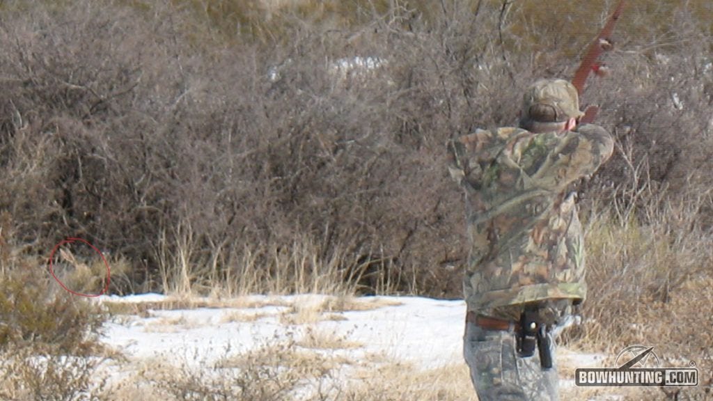 Spot-n-stalk hunting for rabbits is one of the funnest challenges you can get into in the later winter and early spring months. 