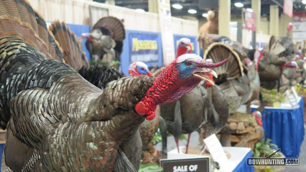 The sights and sounds of the NWTF Convention and Sports Show will leave you longing for spring. 