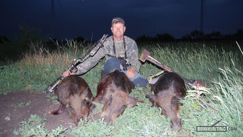 Liberal bag limits and quality table fare make hogs one of the best bowhunting opportunities you'll ever find.