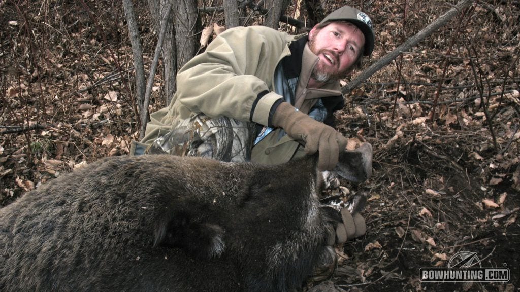 The author has hunted hogs across the globe. He's pictured here with a true Russian boar.