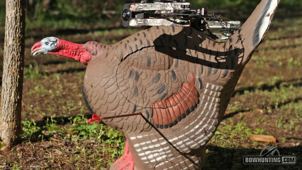 rinehart turkey target practice 
