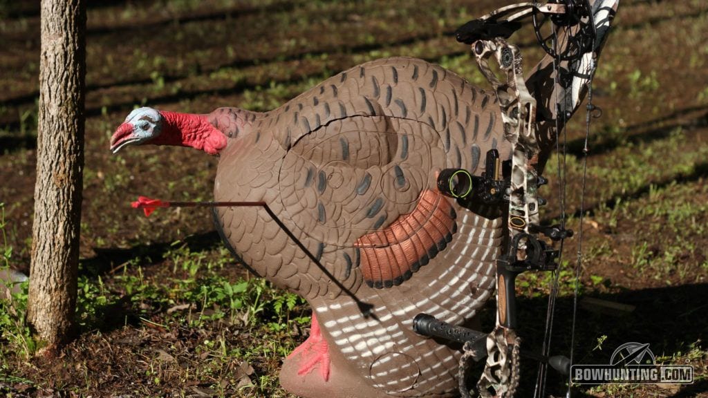 The Rinehart turkey targets make for the perfect practice option to help you hone in on where to shoot a strutting bird. An arrow too far to the left will contact the breast. It's not the shot you want. 