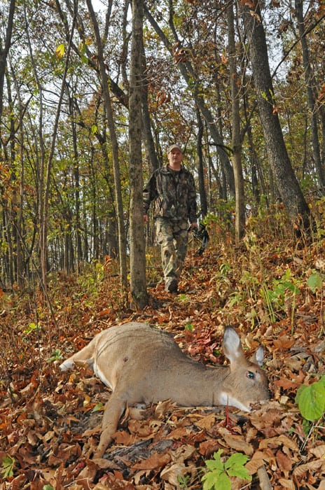 hunter walking to downed deer