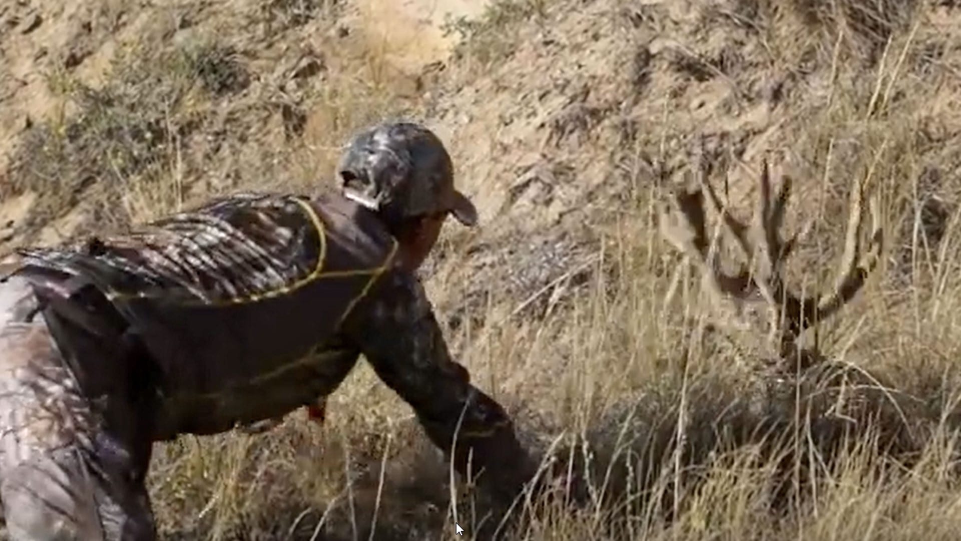 Hunter Grabs a Live Buck by the Antler