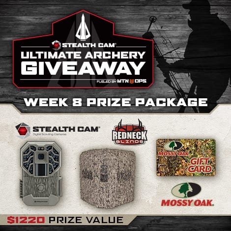 stealth-cam-august-sweepstakes