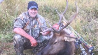 Dan Colorado bull