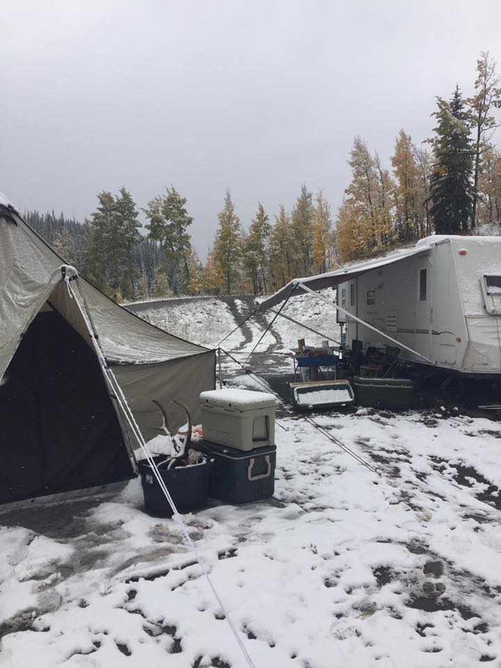 elk camp in the snow