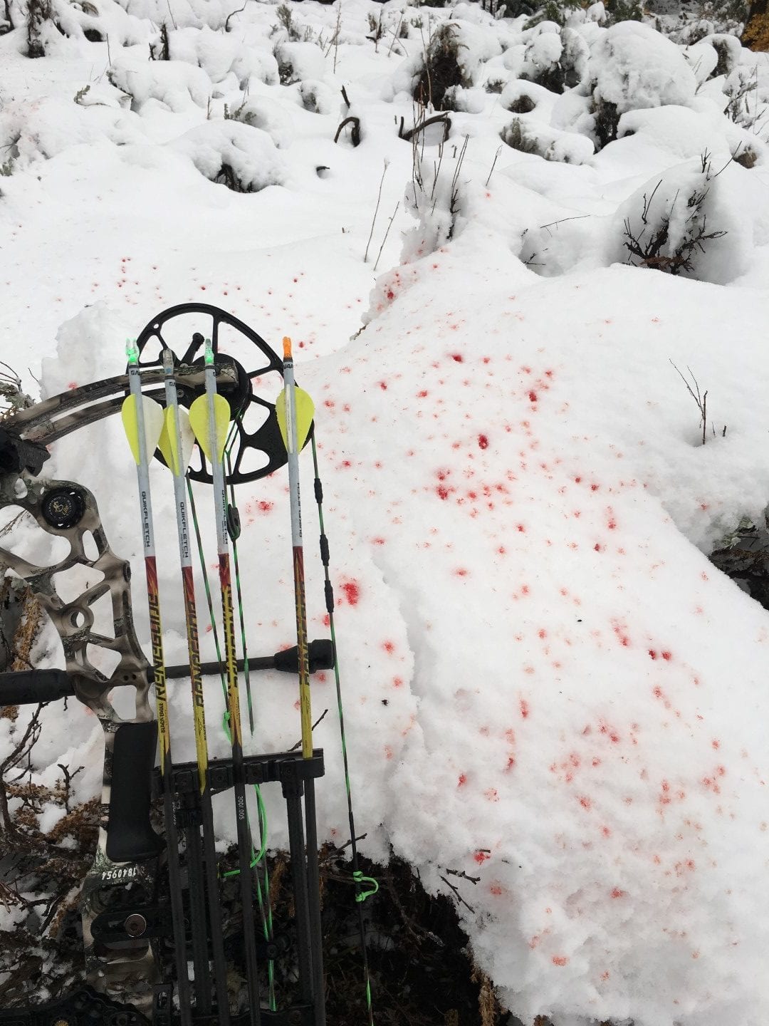 bloodtrail in the snow