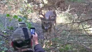 rutty buck charge