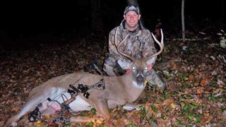 whitetail rut