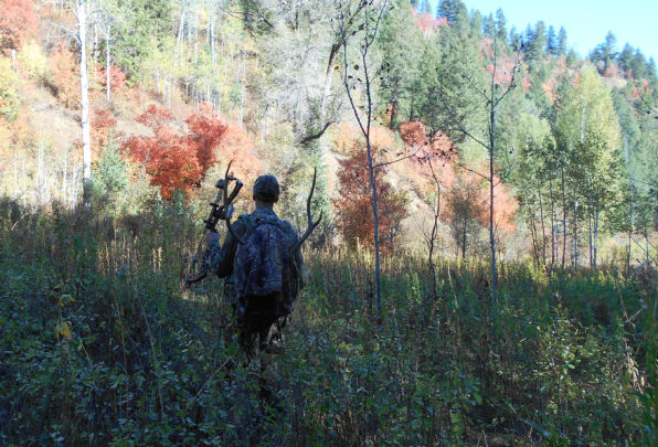 elk pack out