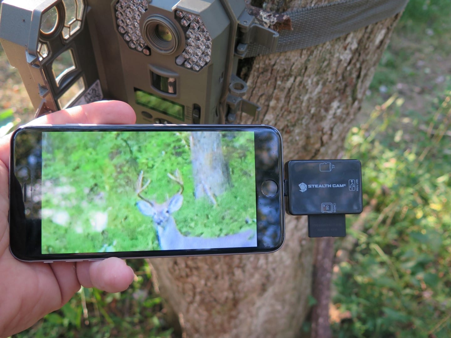 Stealth Cam trail cameras 