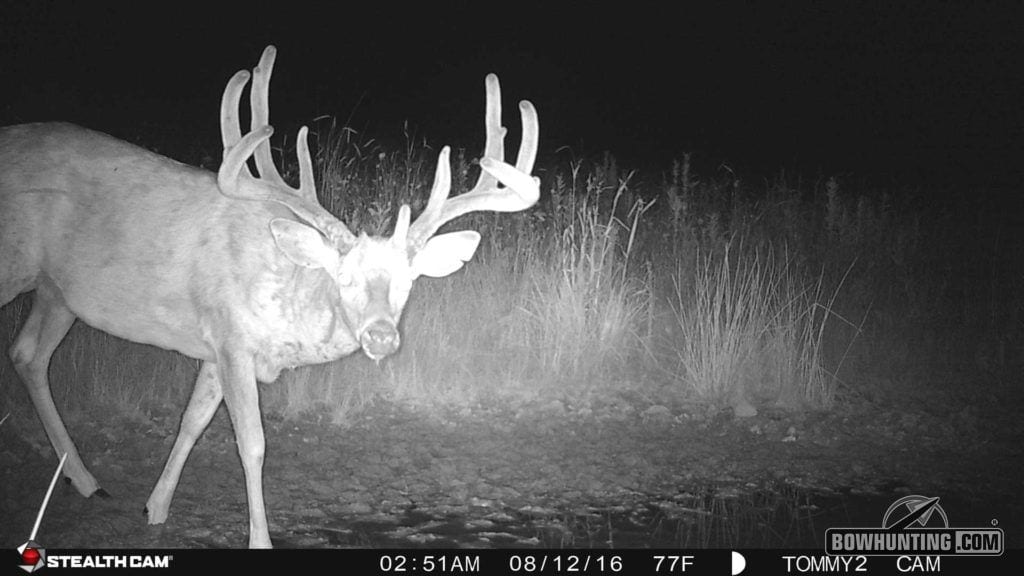 Alford kept track of the buck for two years using his trail cameras. Last Friday was the first time he ever saw him on the hoof while hunting.