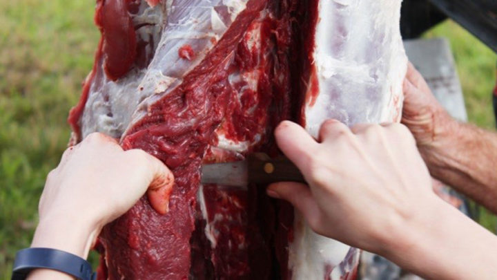 How to Prepare Your Deer Meat for the Freezer