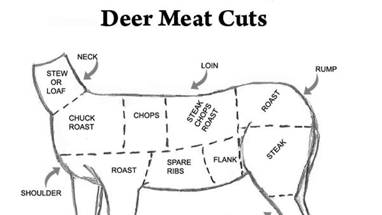deer meat cut guides