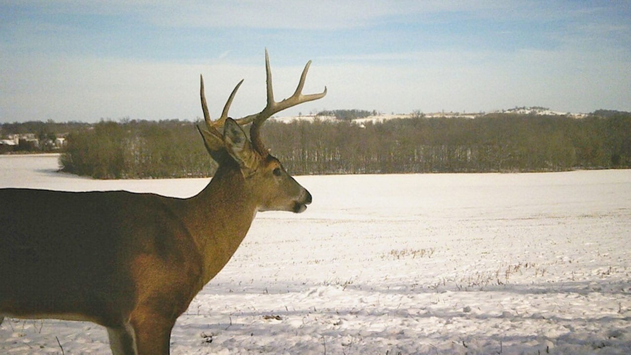 late season deer hunting