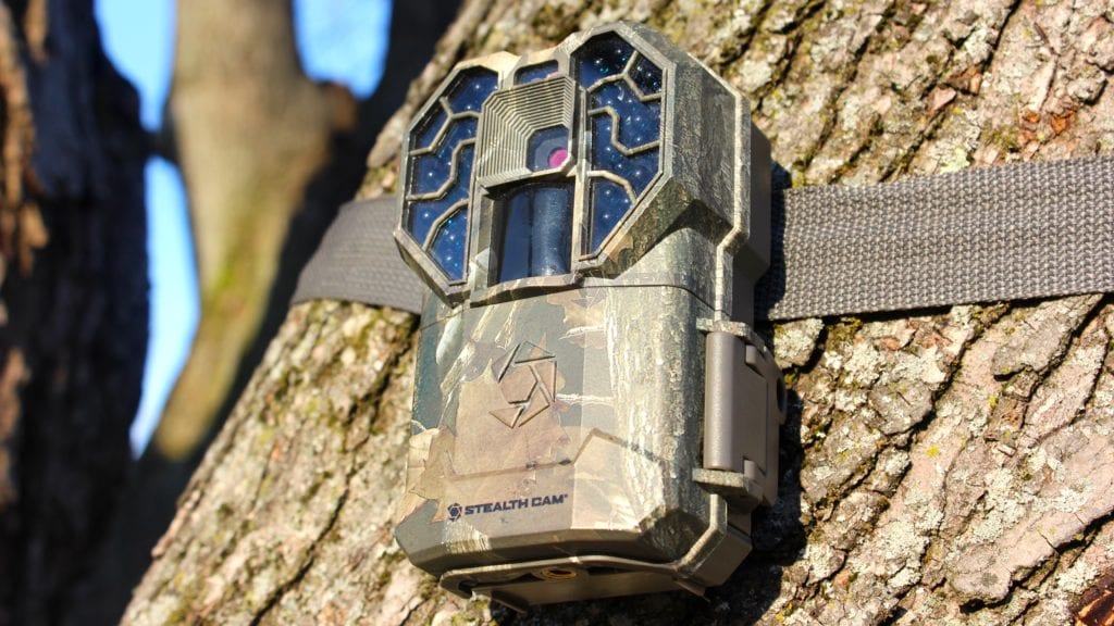 stealth-cam-tree