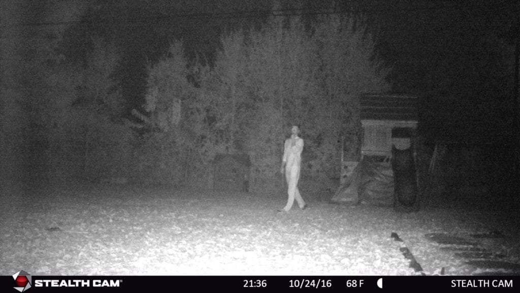 stealth-cam-night-test