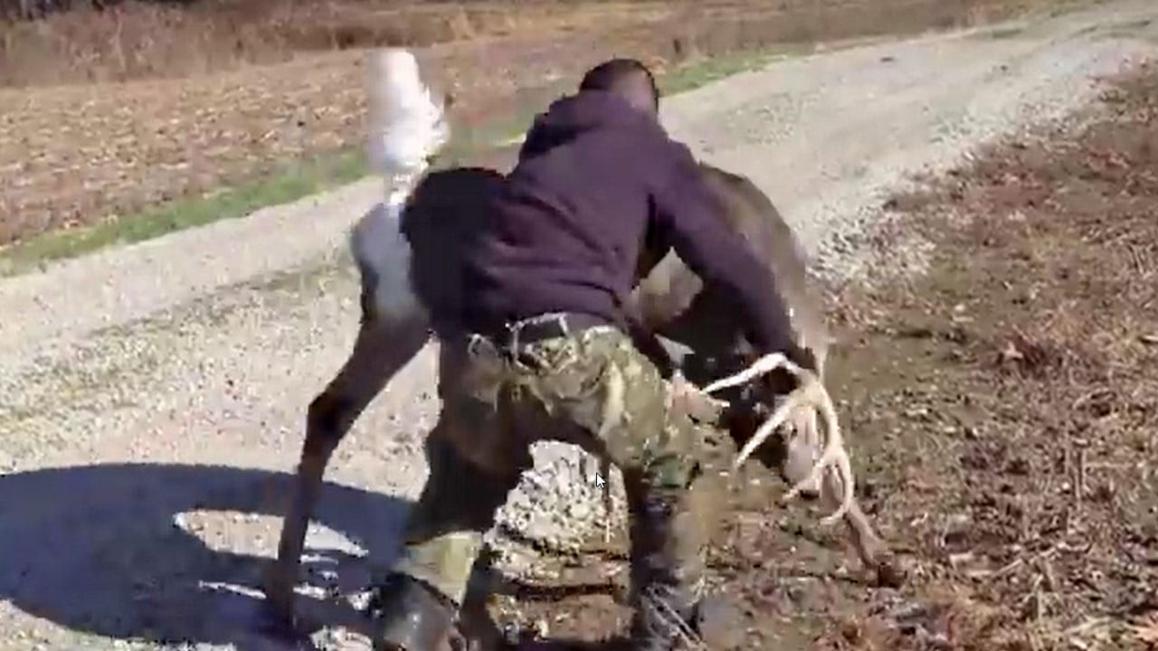 man fighting buck