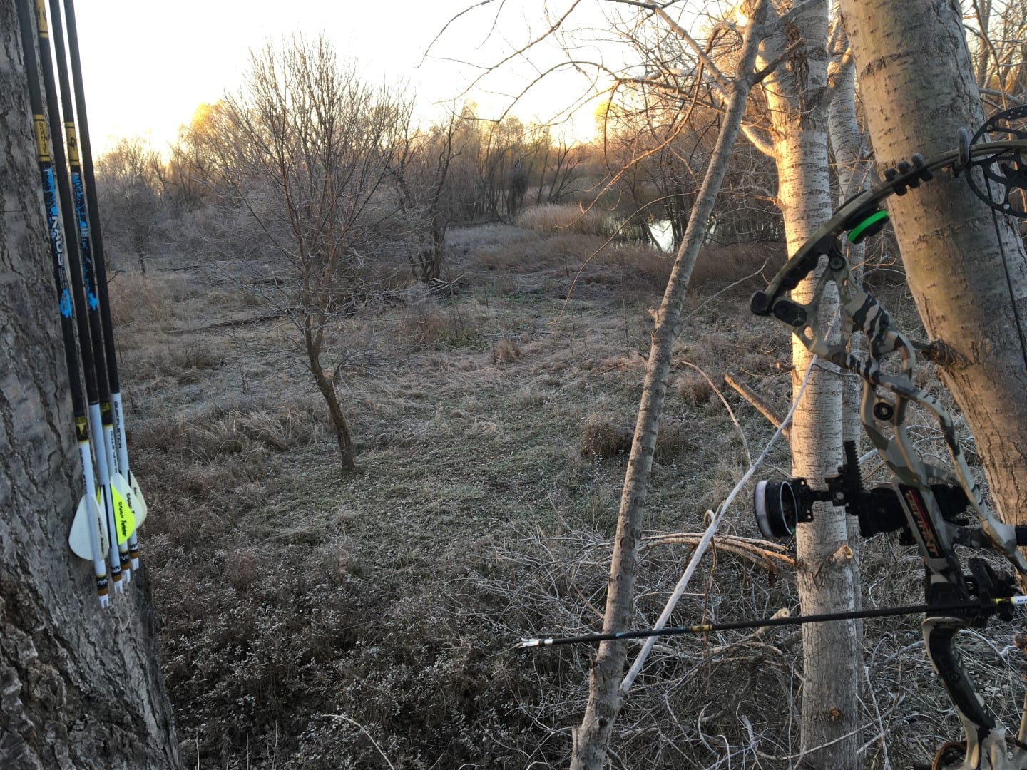 bowhunting from a Kansas treestand