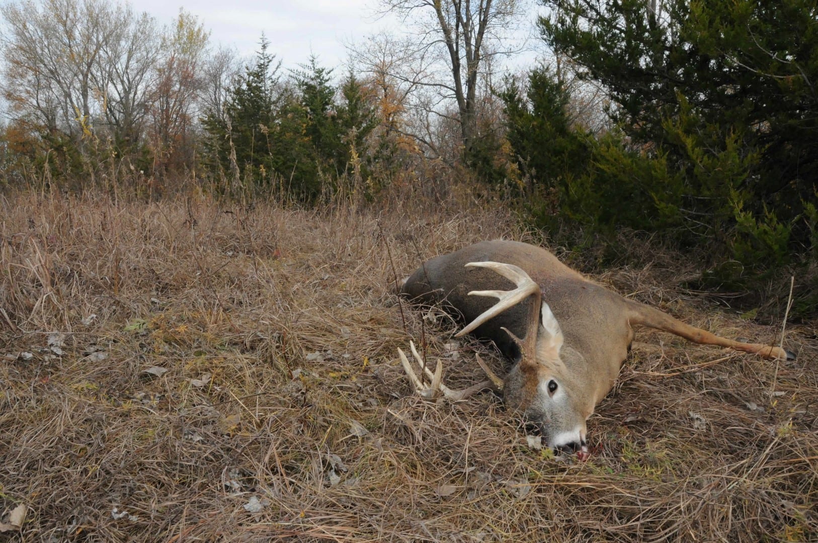 Deer Hunting Conspiracy Theories