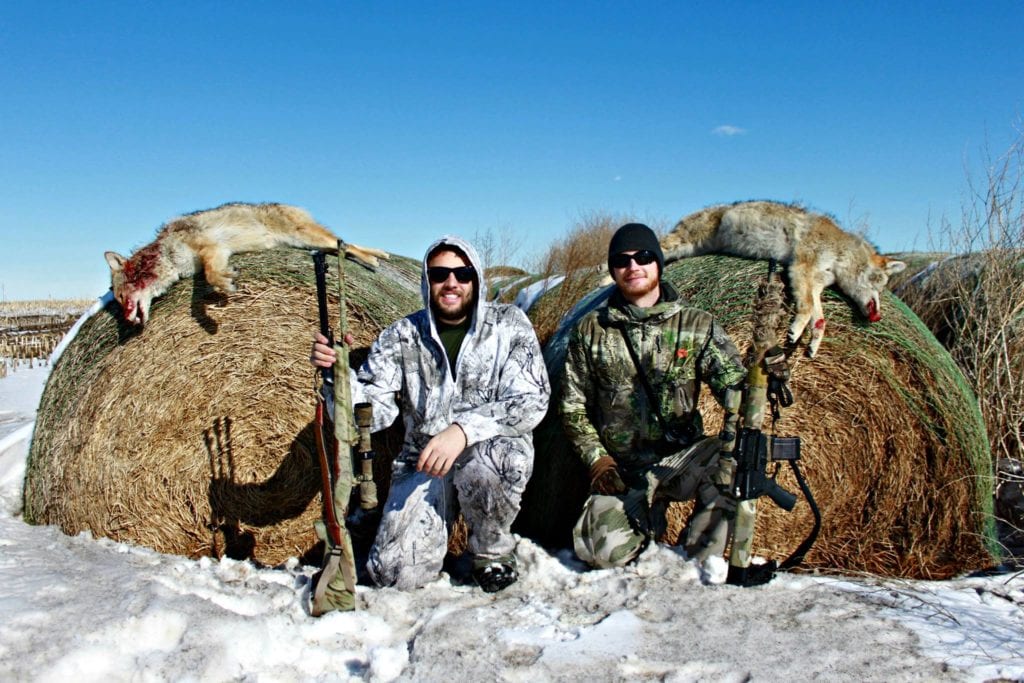 Hunters with coyotes