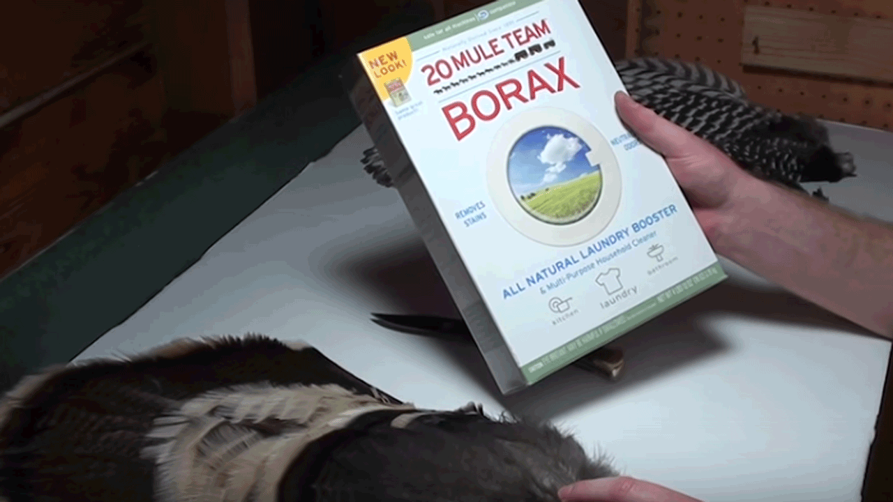 borax for turkey fan