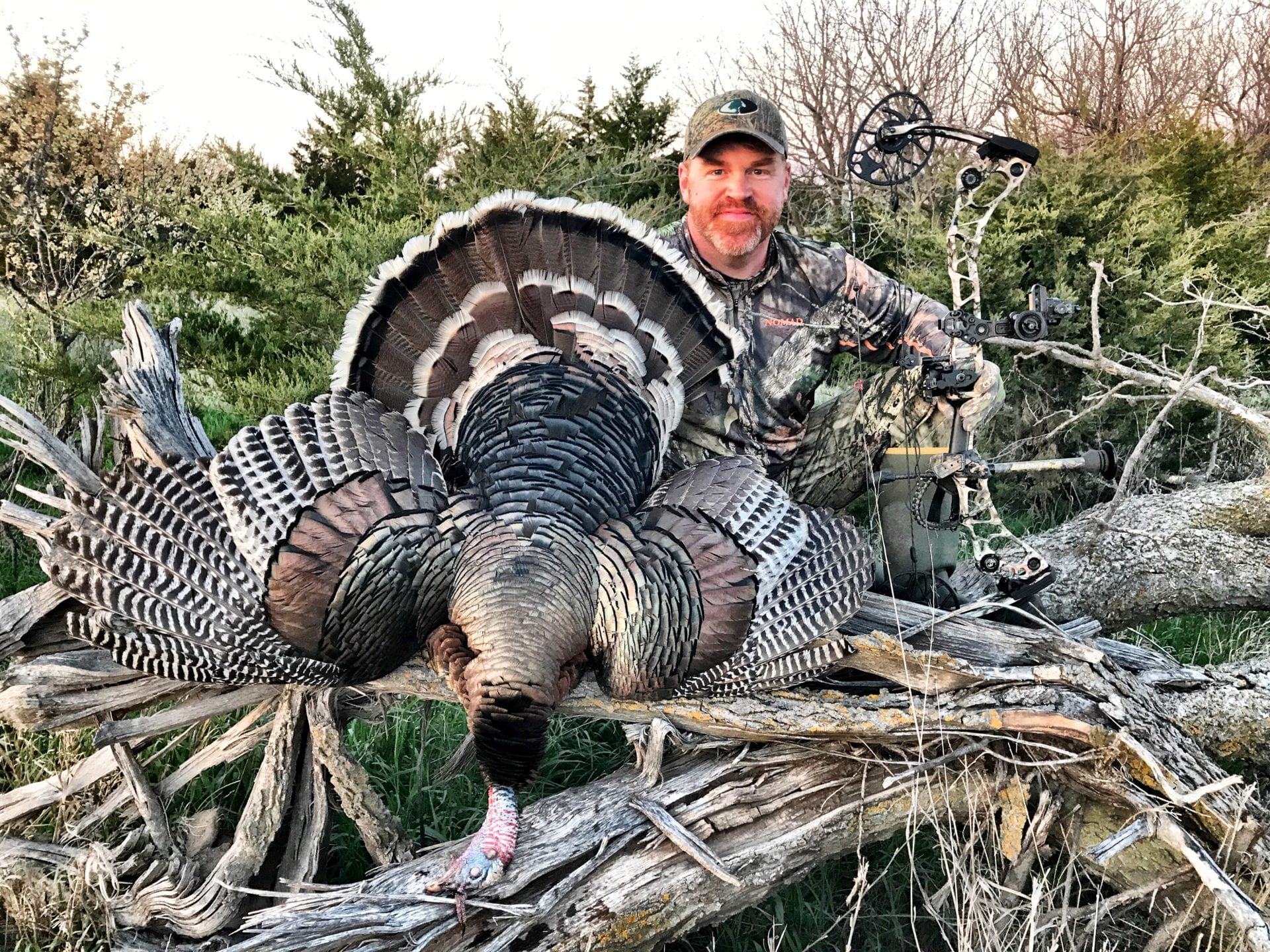 Brodie's turkey