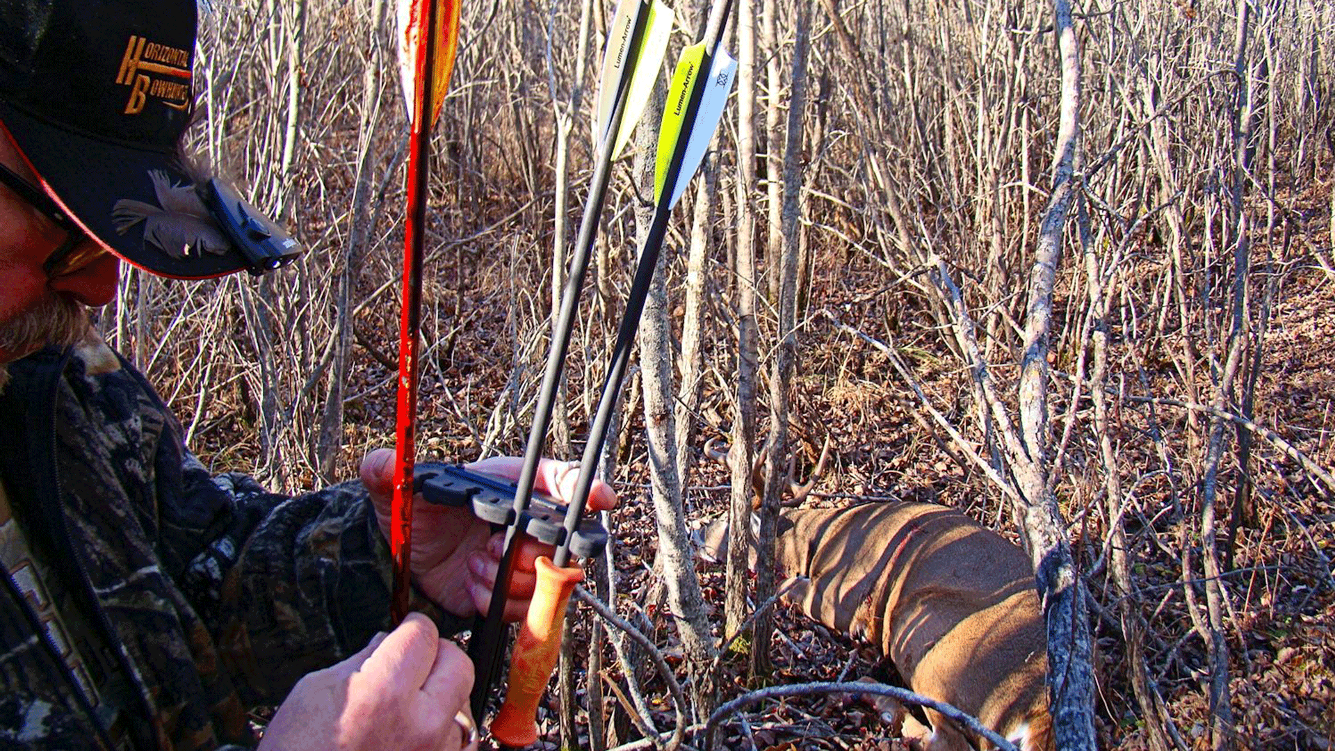quiver and arrows