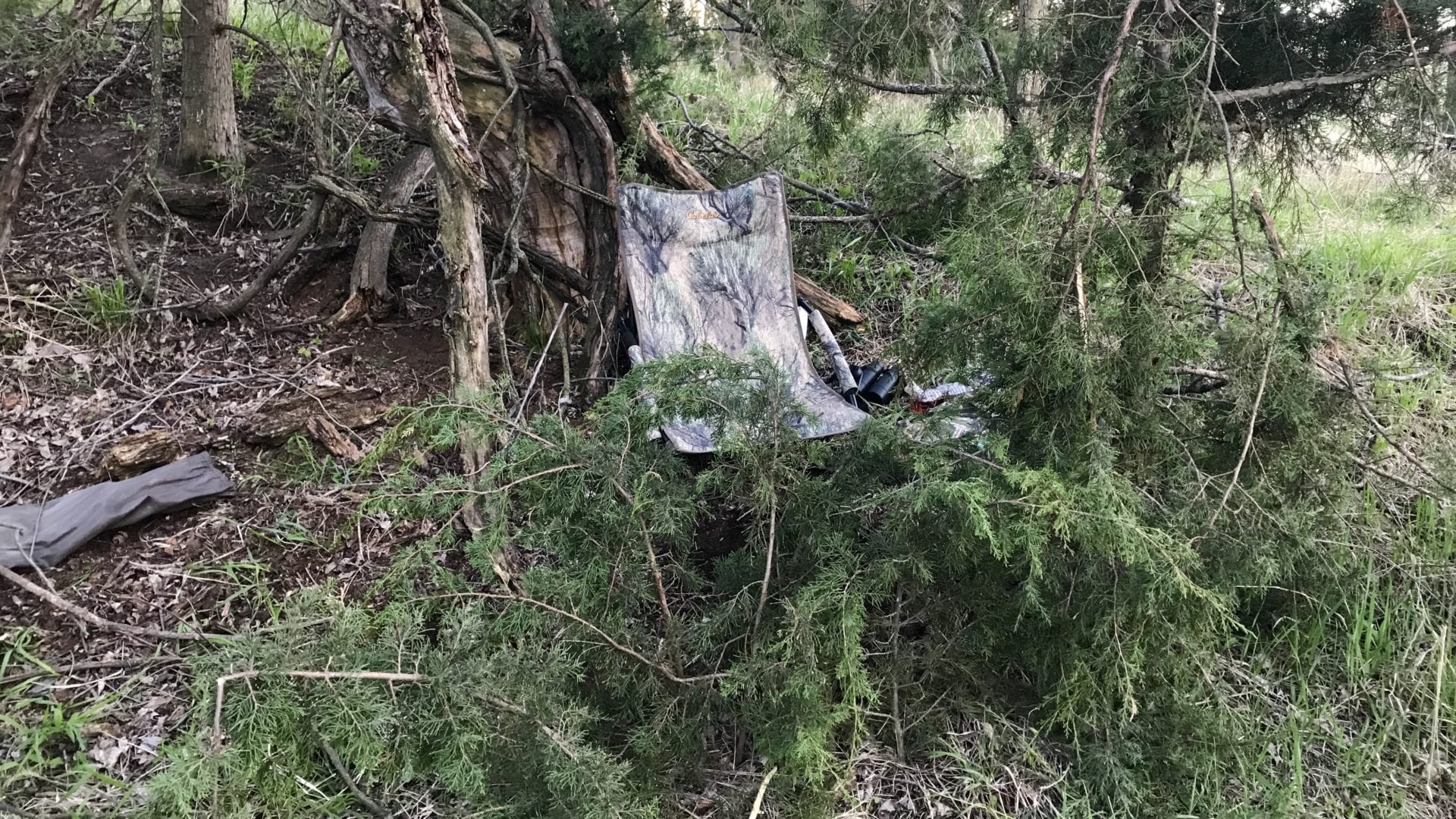 natural ground blind