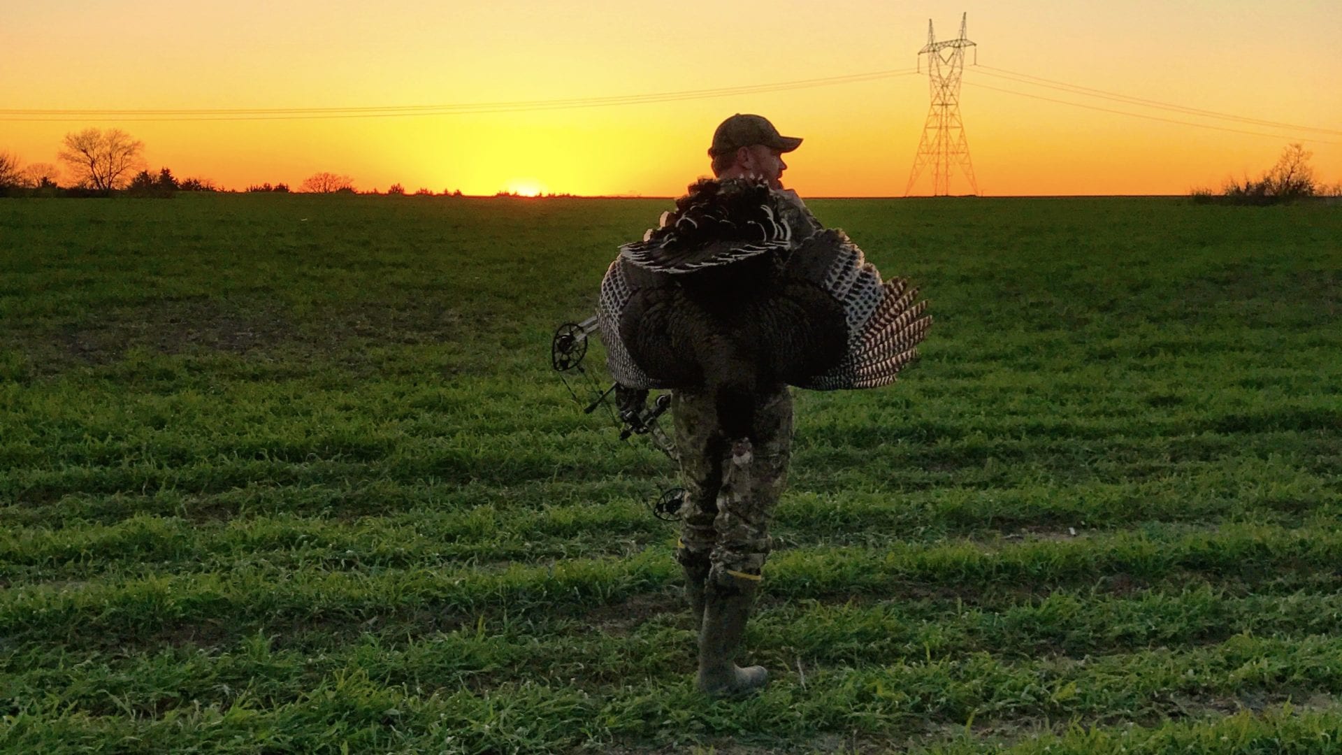 turkey at sunset 