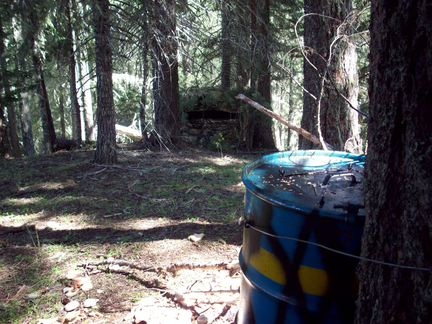 bear blind and bait barrel