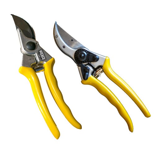 Wicked-Pruner
