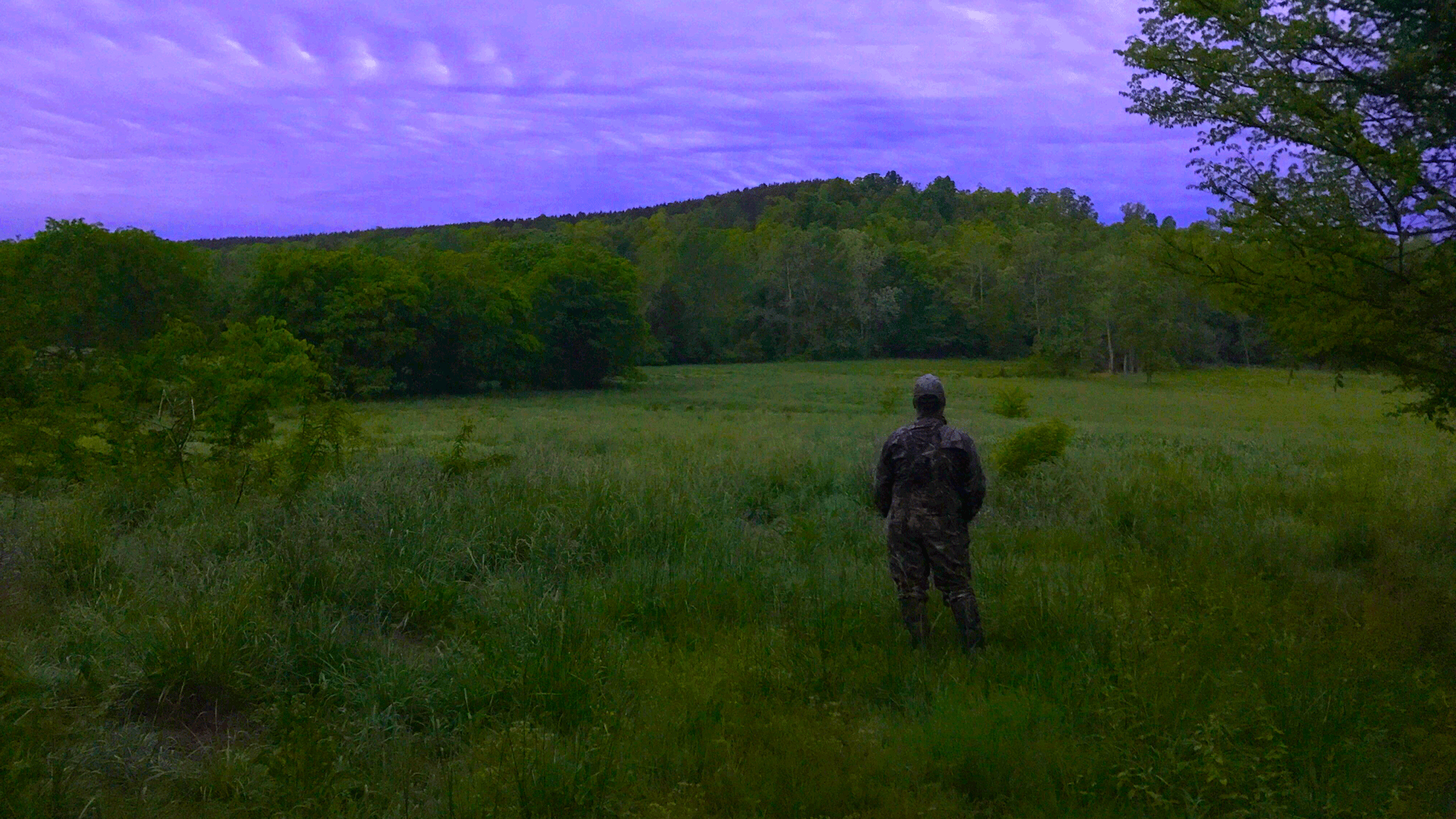 hunter in field listening for gobbles