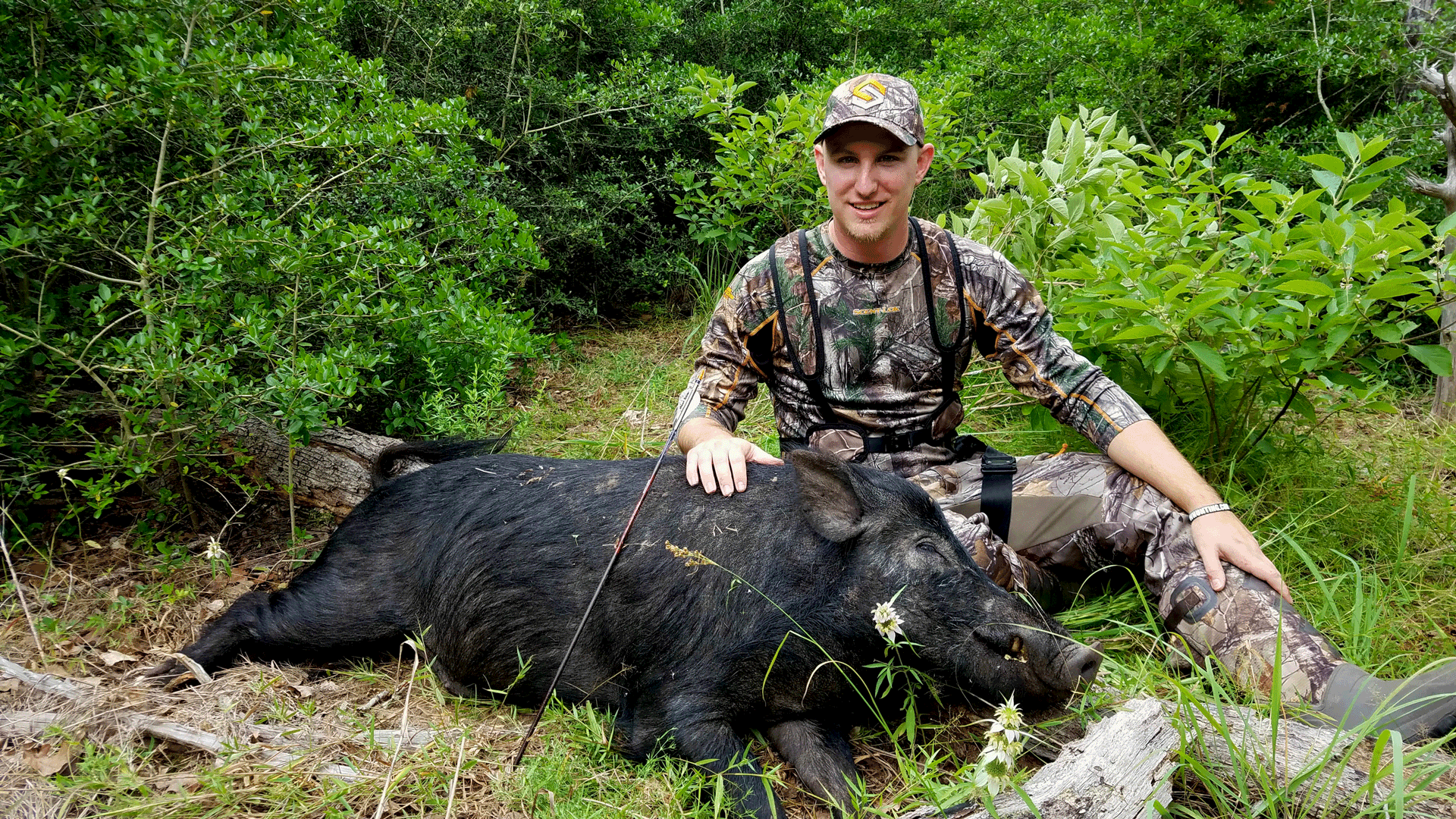 Texas hog hunting dead pig
