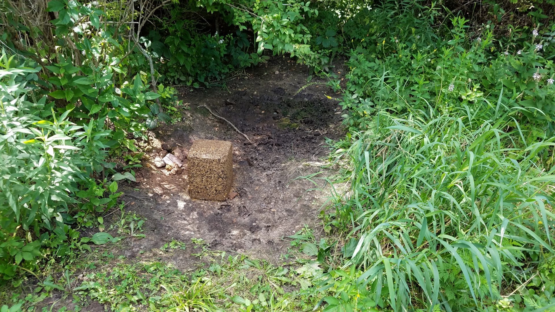 heartland mineral lick site